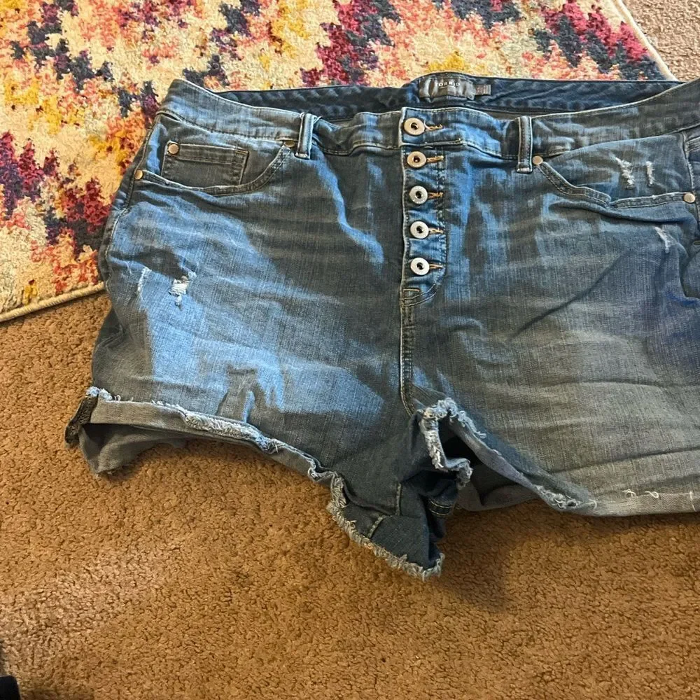 torrid great short