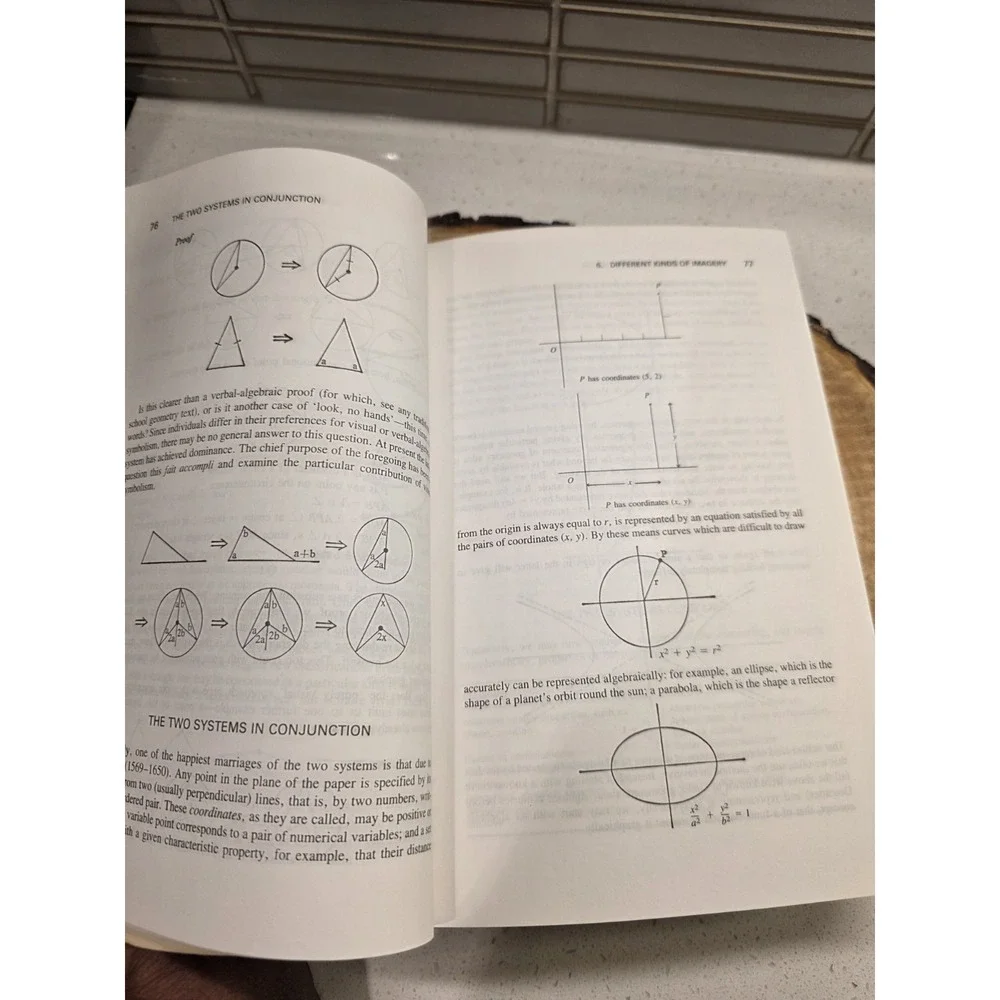 The Psychology of Learning Mathematics : Expanded American Edition by Skemp Book