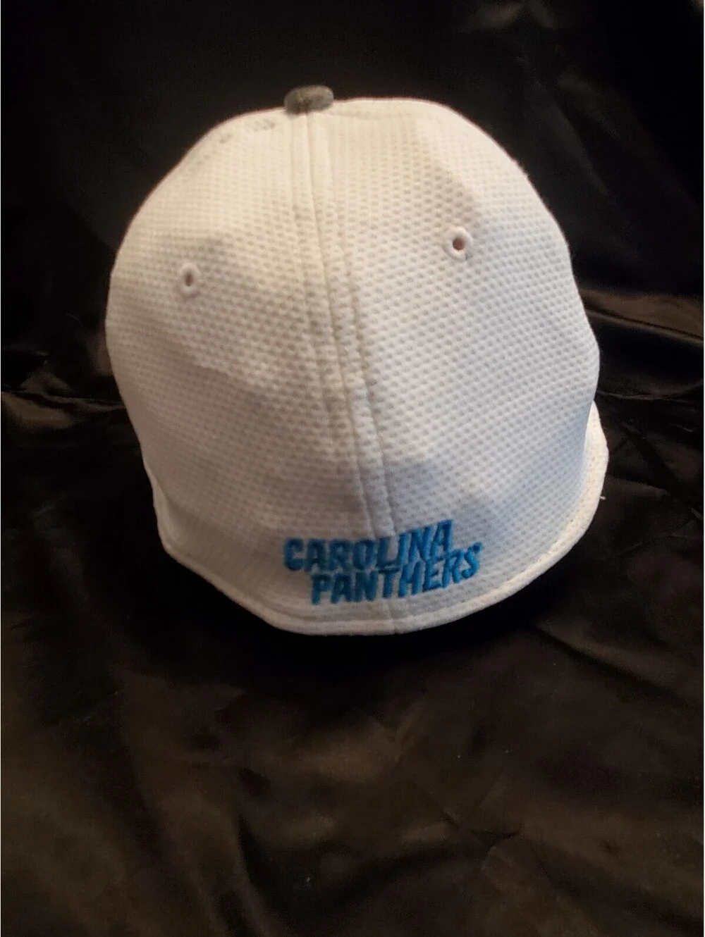 Nike panthers hat