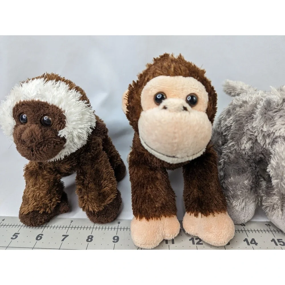 Aurora monkey chimp