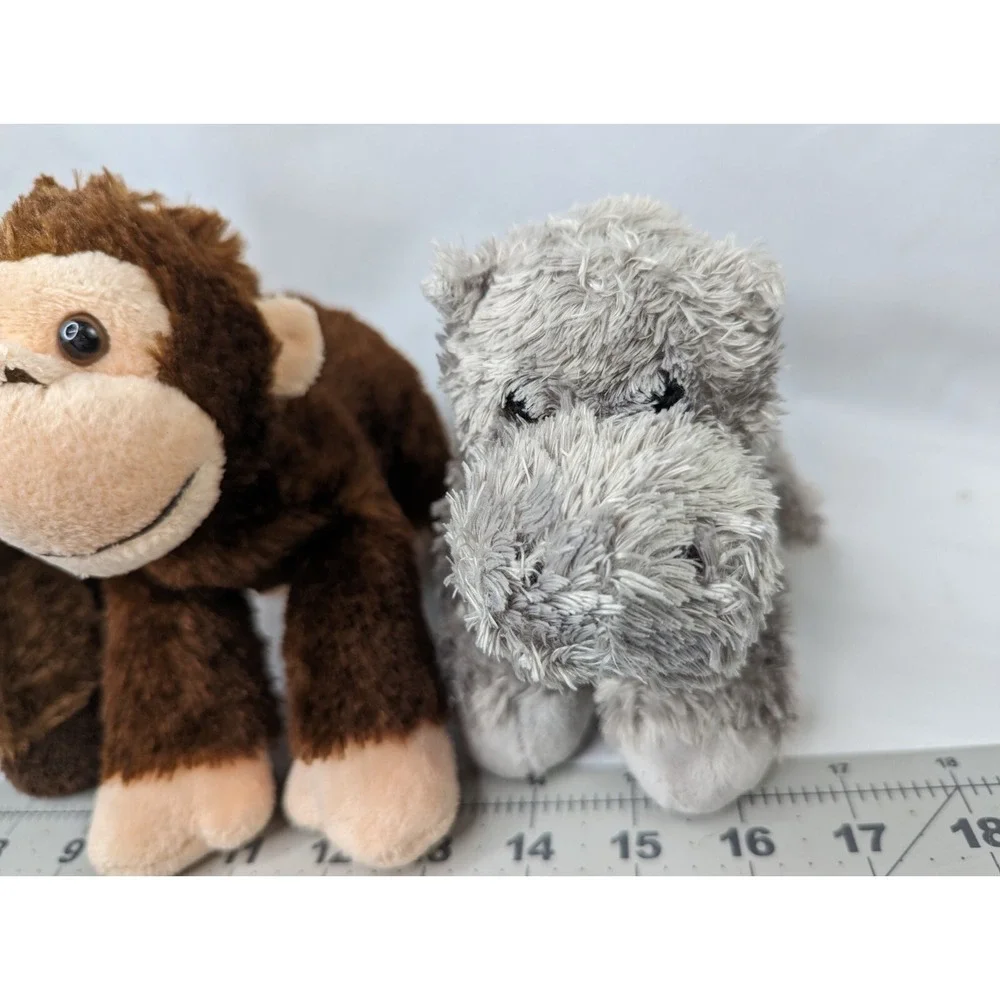 Aurora monkey chimp