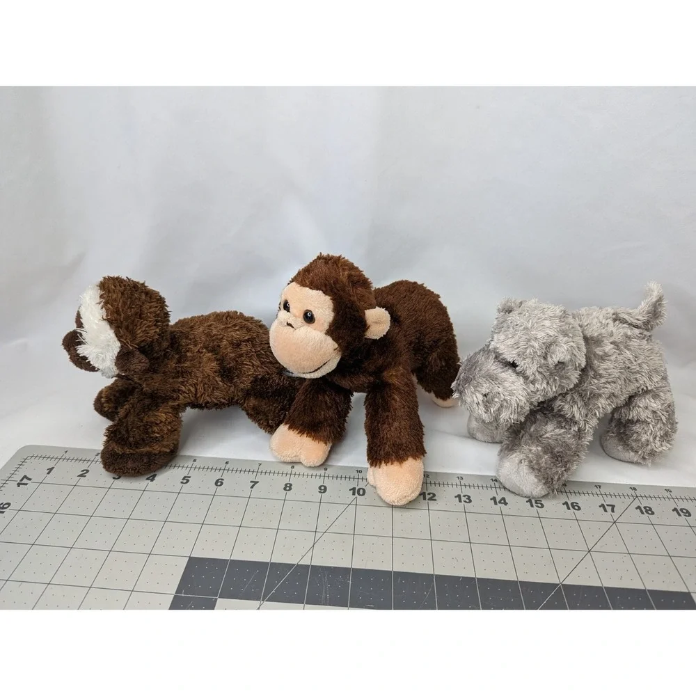 Aurora monkey chimp