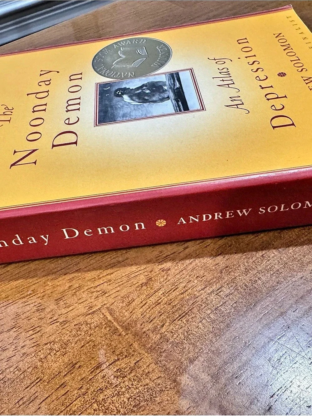 Scribner noonday demon