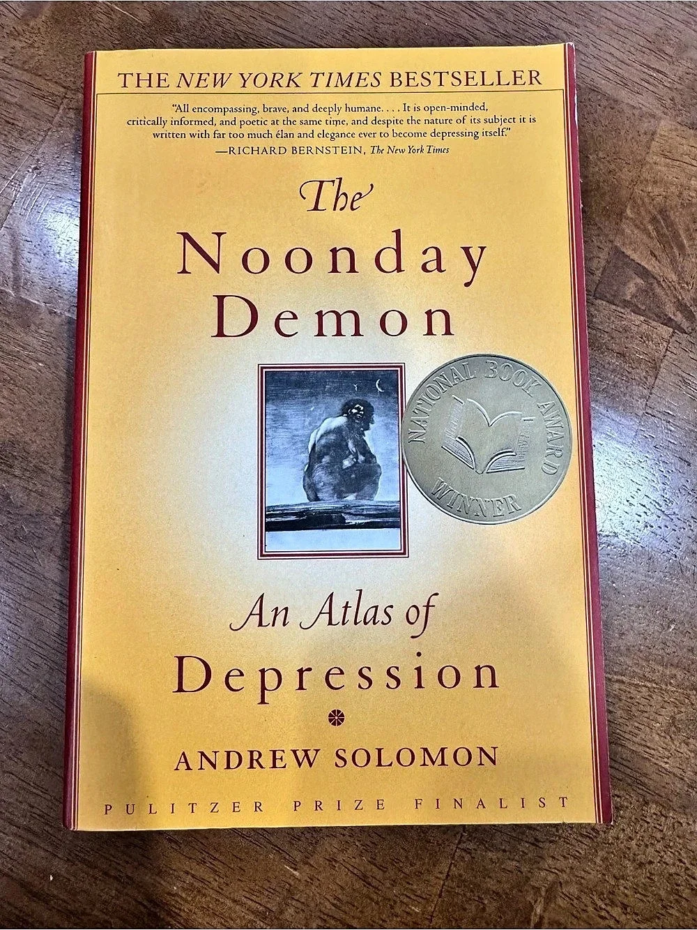 Scribner The Noonday Demon: An Atlas of Depression Hardcover Book Andrew Solomon