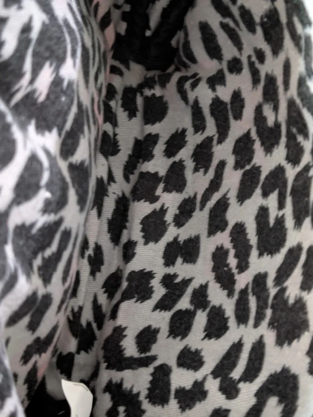 Betsey Johnson colors black