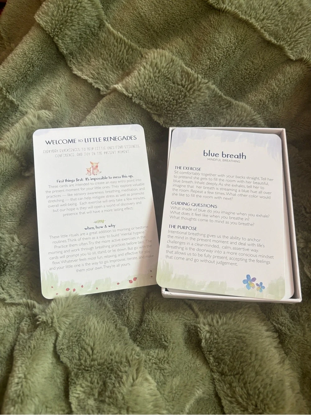 Little Renegades mindful kids