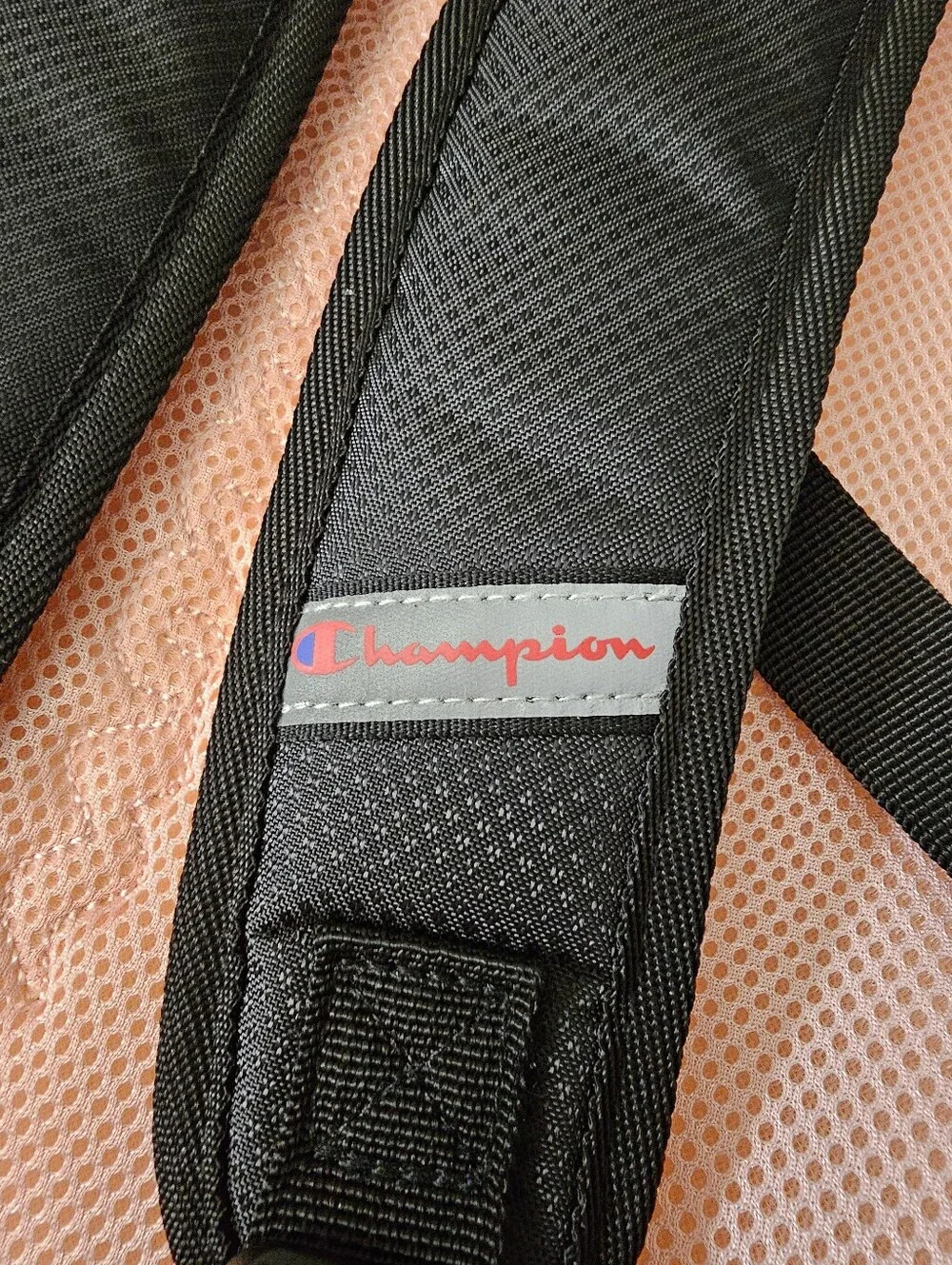 Champion accents laptop organizer