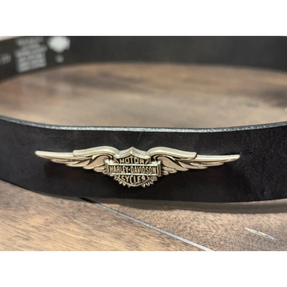 Harley-Davidson show off