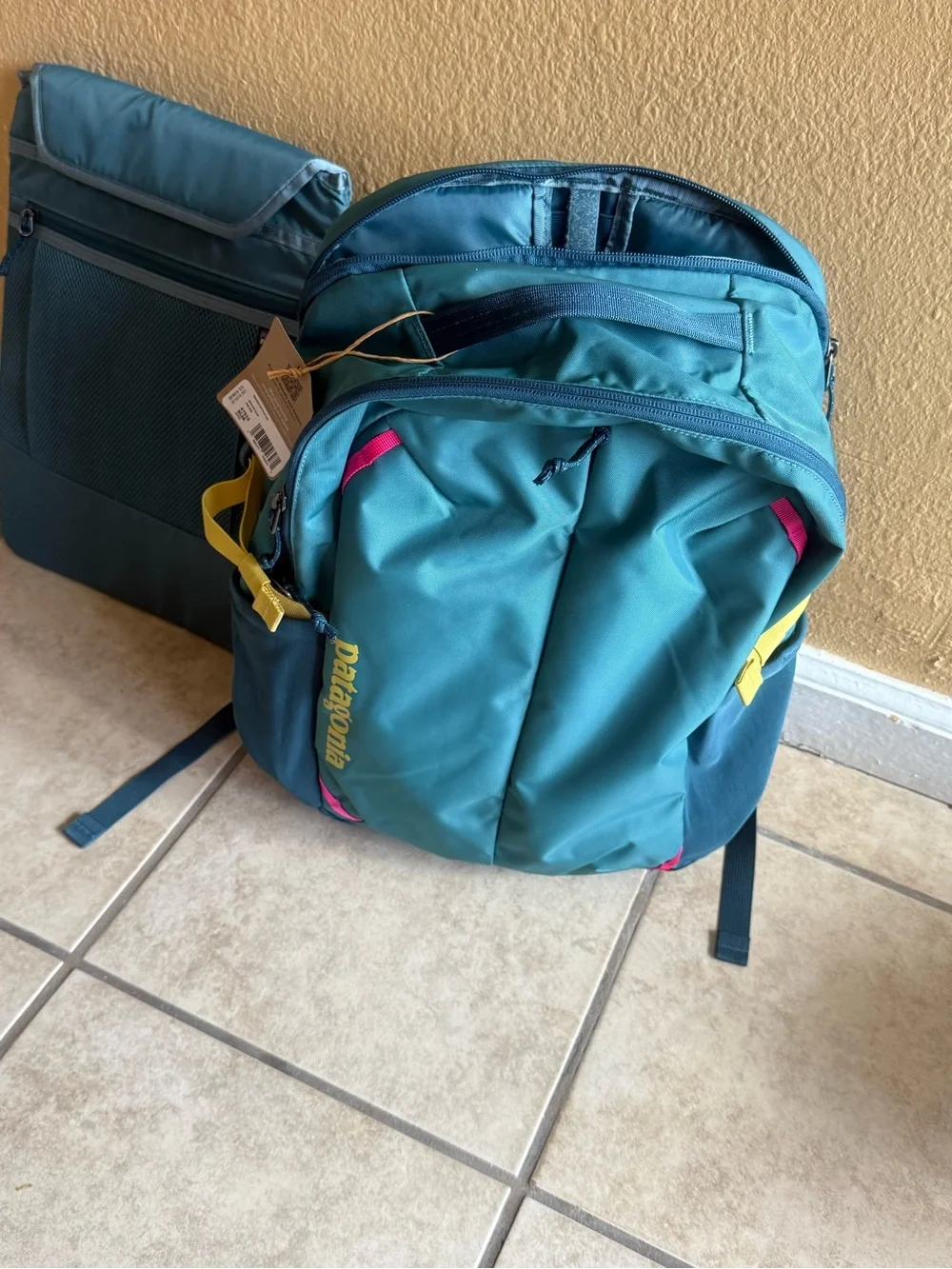 Patagonia spacious backpack