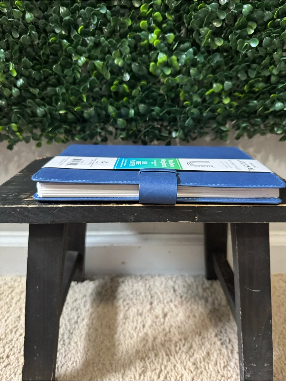 Onetreeplanted deluxe journal