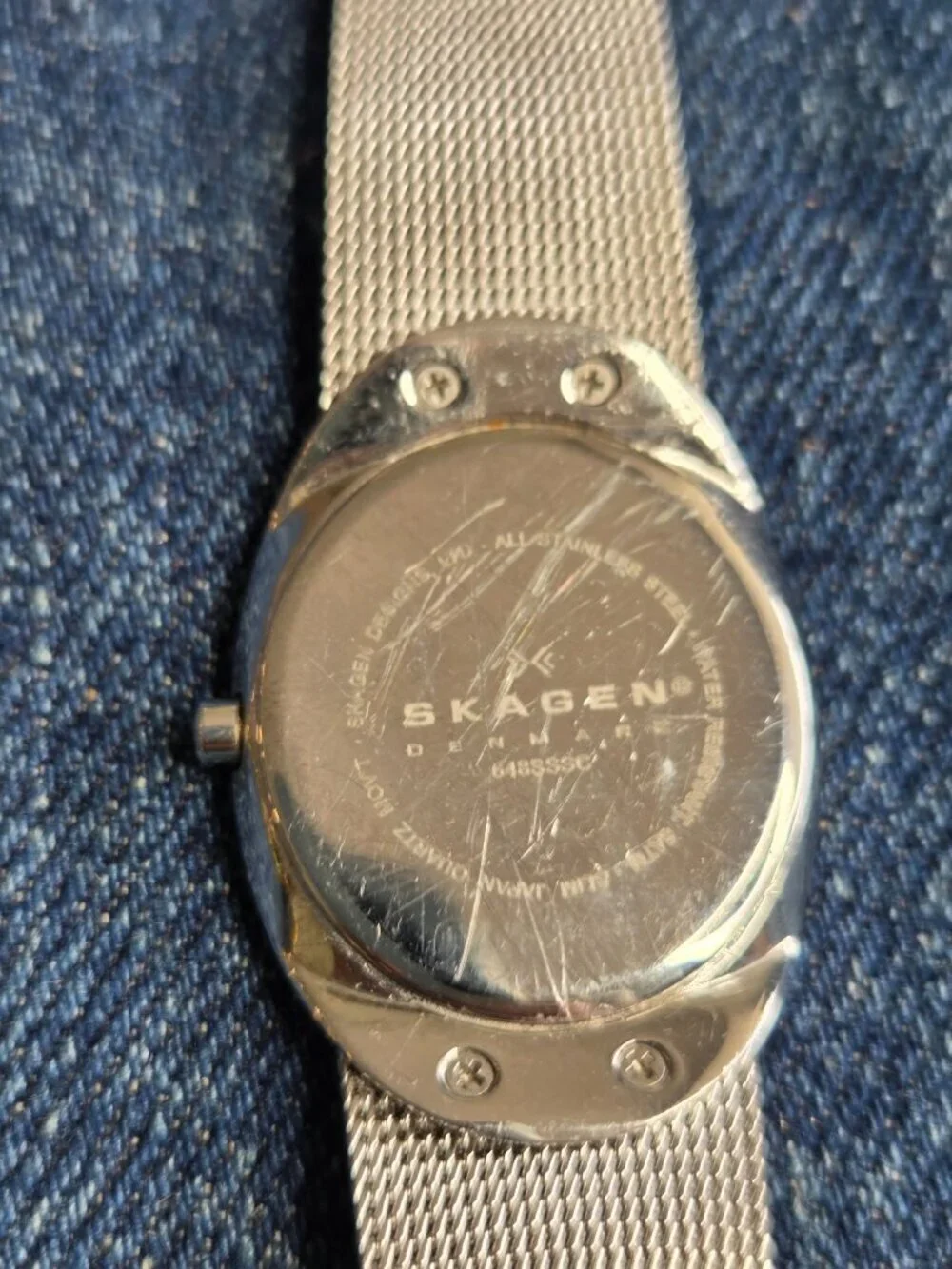 Skagen women denmark