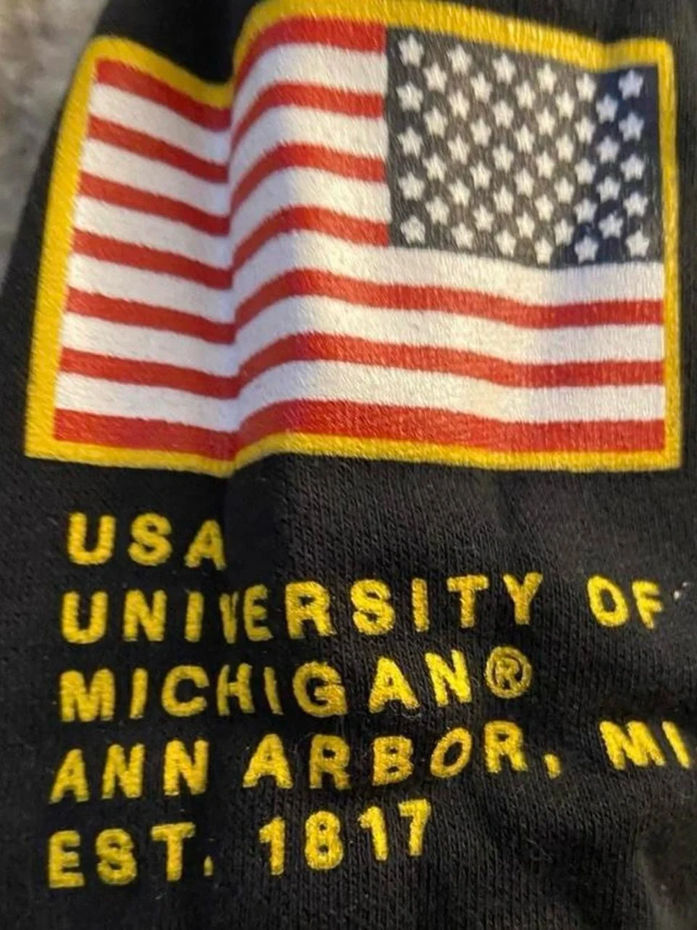 Jordan nike michigan