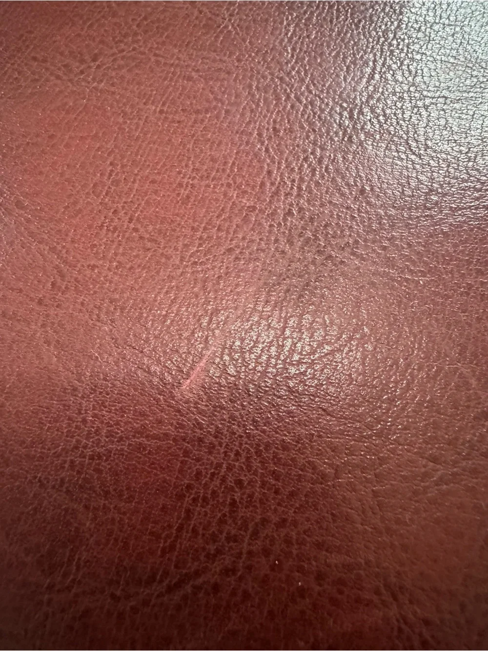 Foray professional maroon