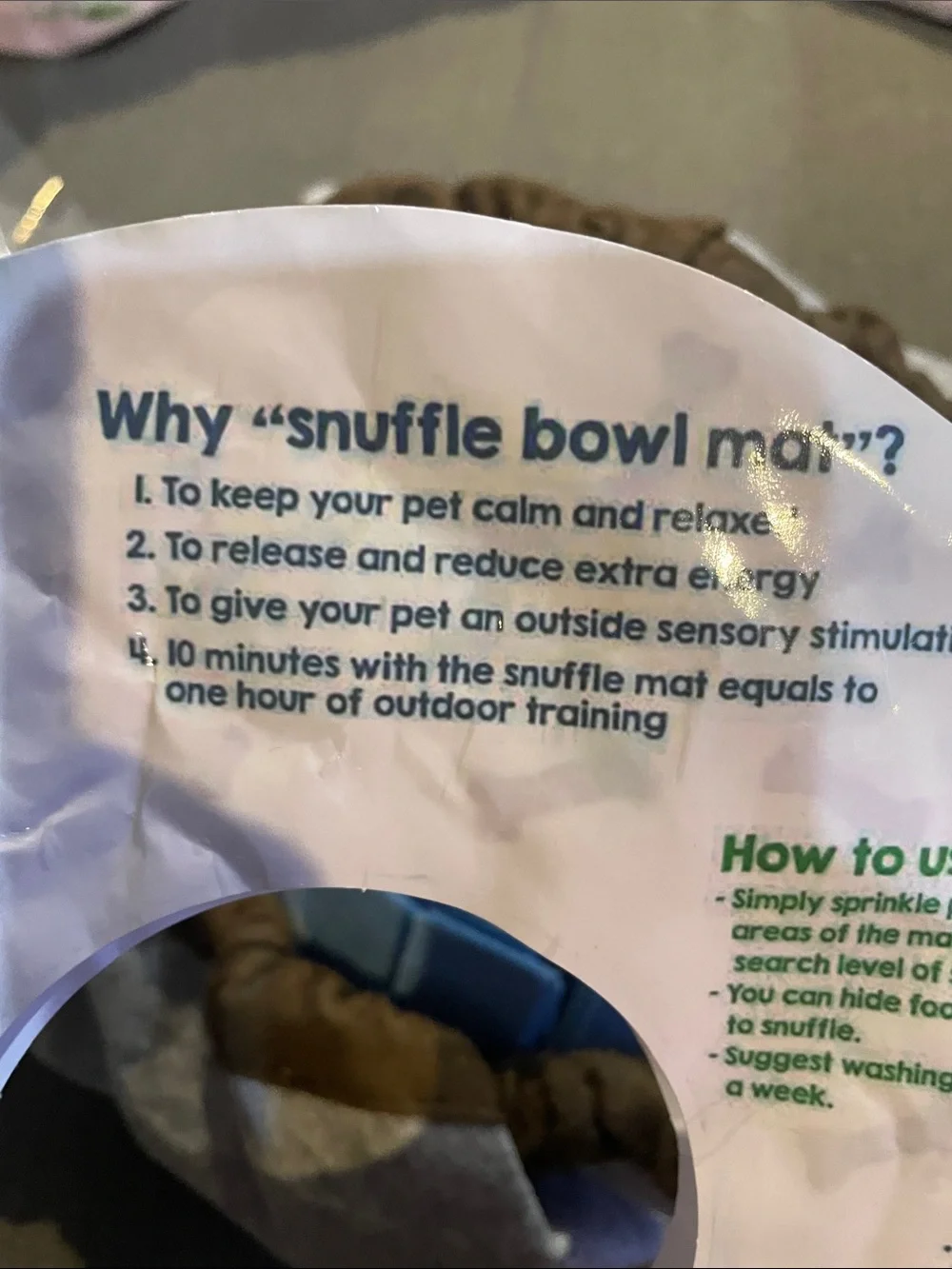 Pet Arena train your