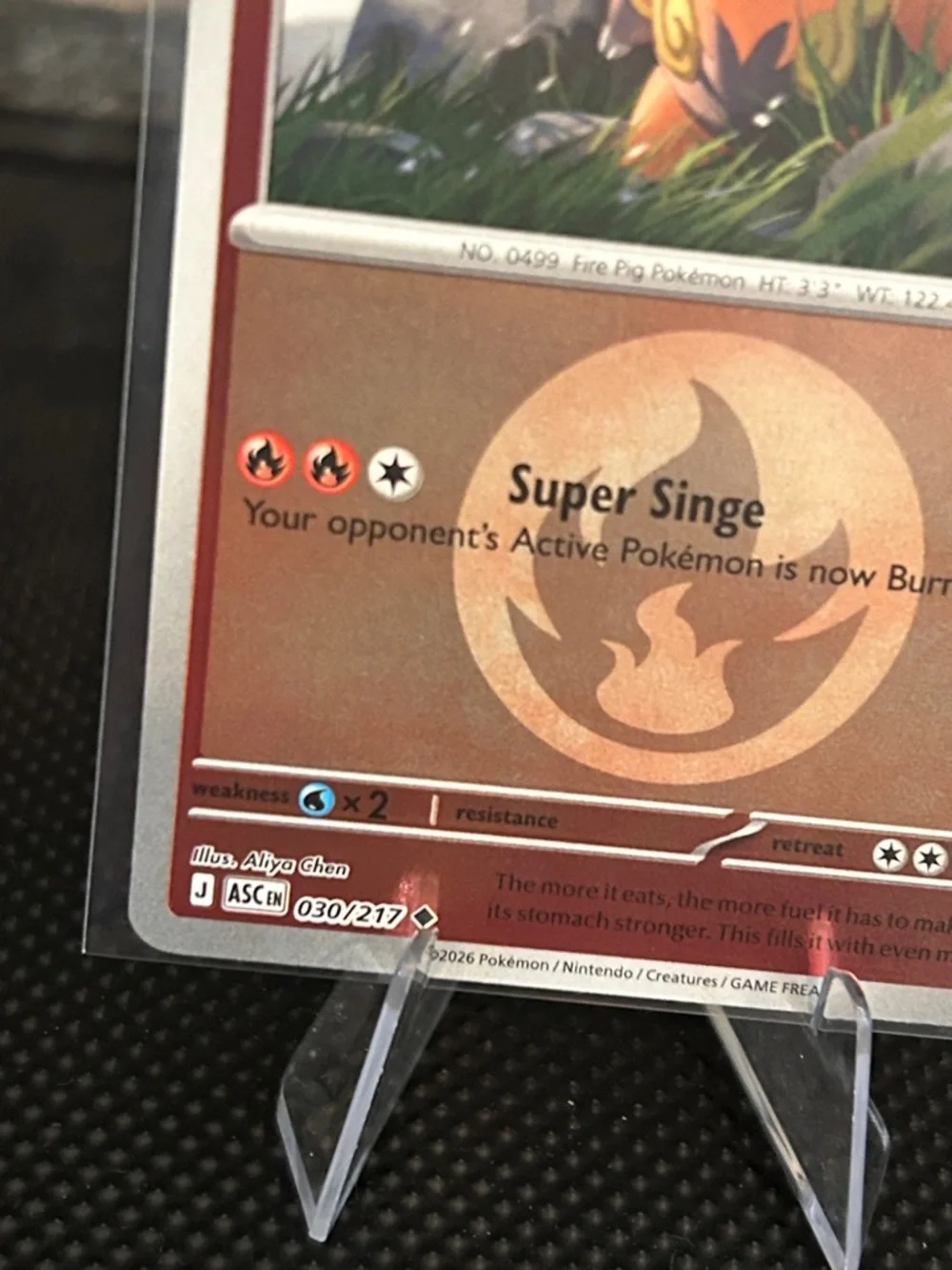 Pokemon pignite reverse