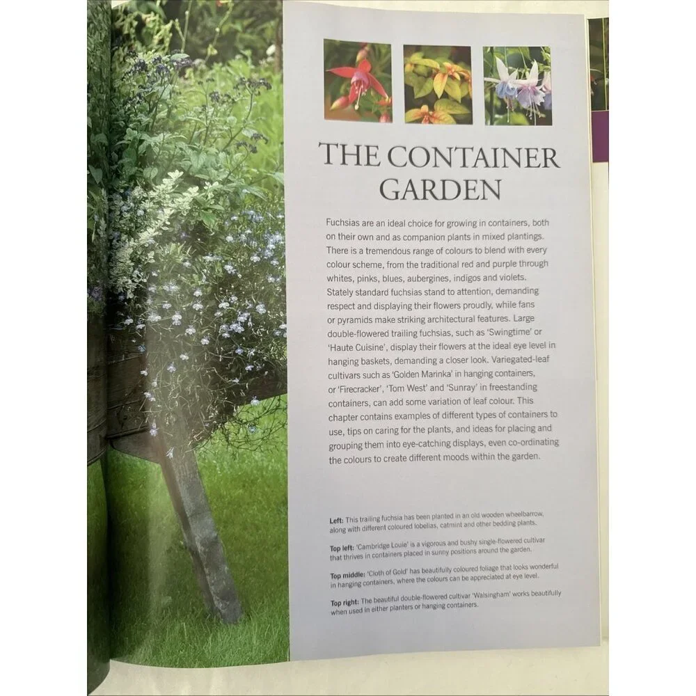 N/A illustrated gardener