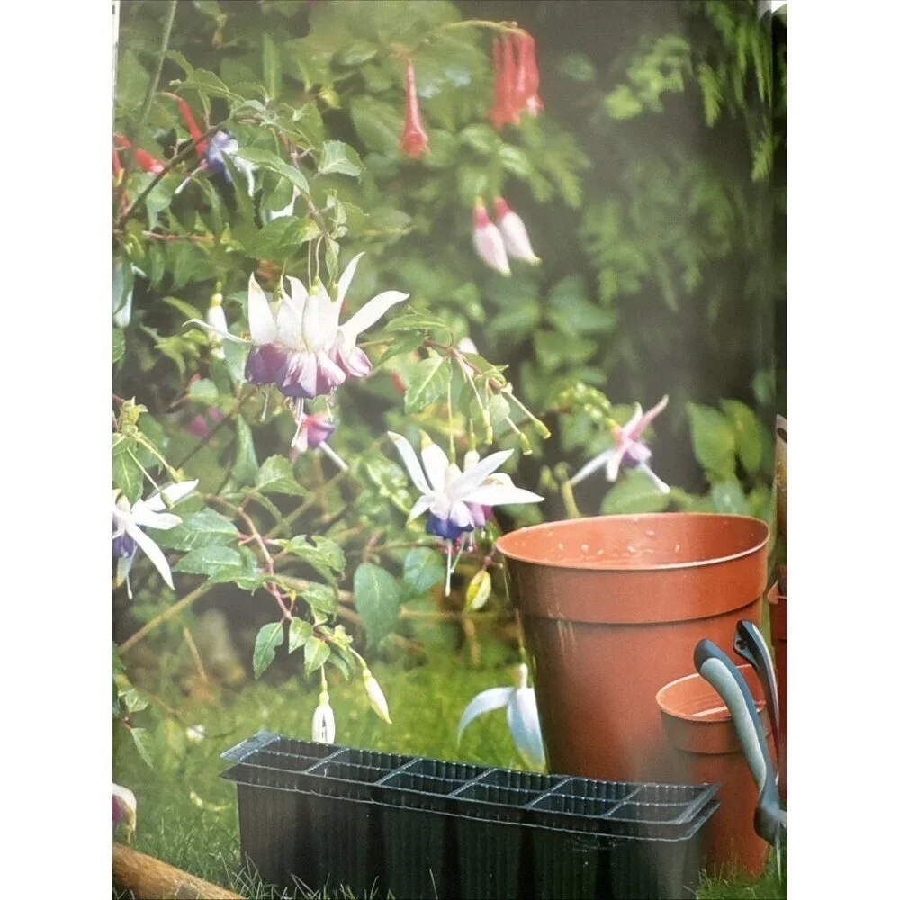 N/A illustrated gardener