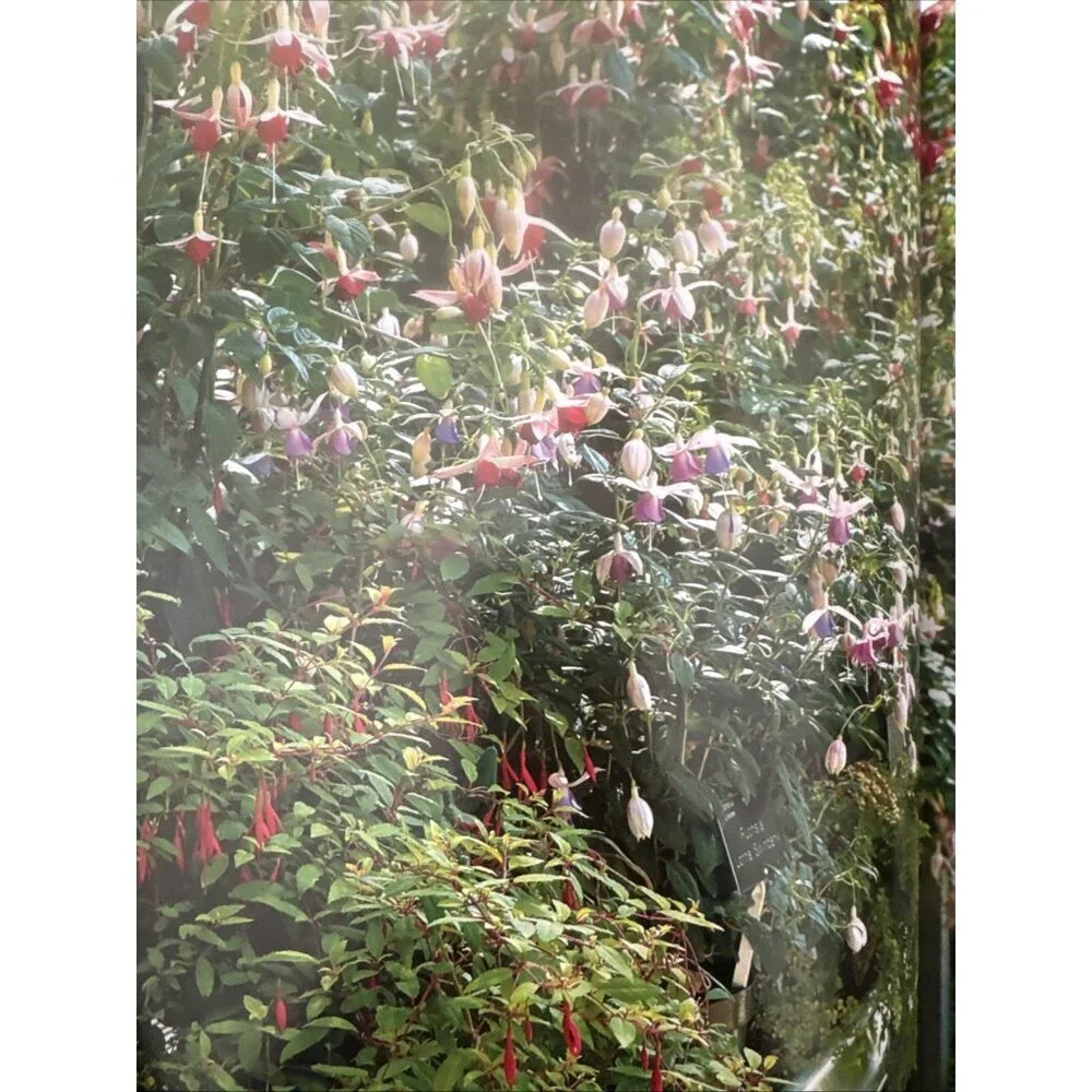 N/A illustrated gardener