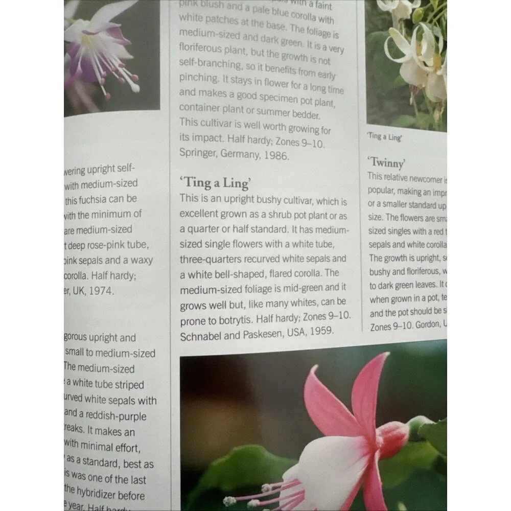 N/A illustrated gardener