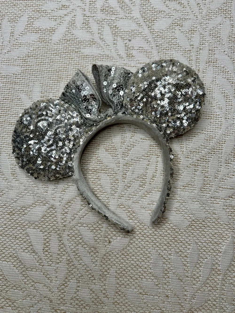 Disney parks silver