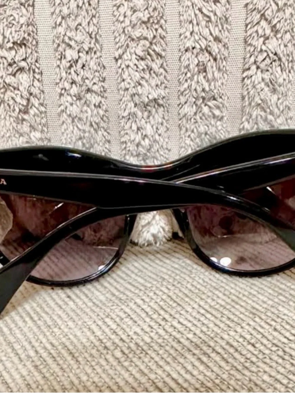 Prada cat eye