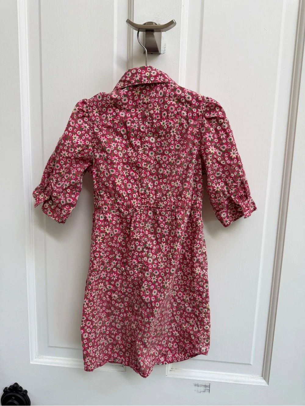 Baby GAP Girls 4 Pink Floral Ruffle-Front Long Sleeve Dress