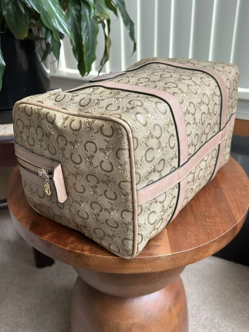 Celine macadam canvas
