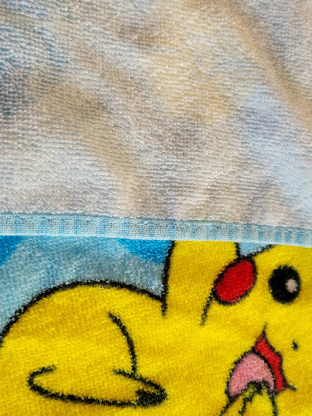 Pokemon soft hooded