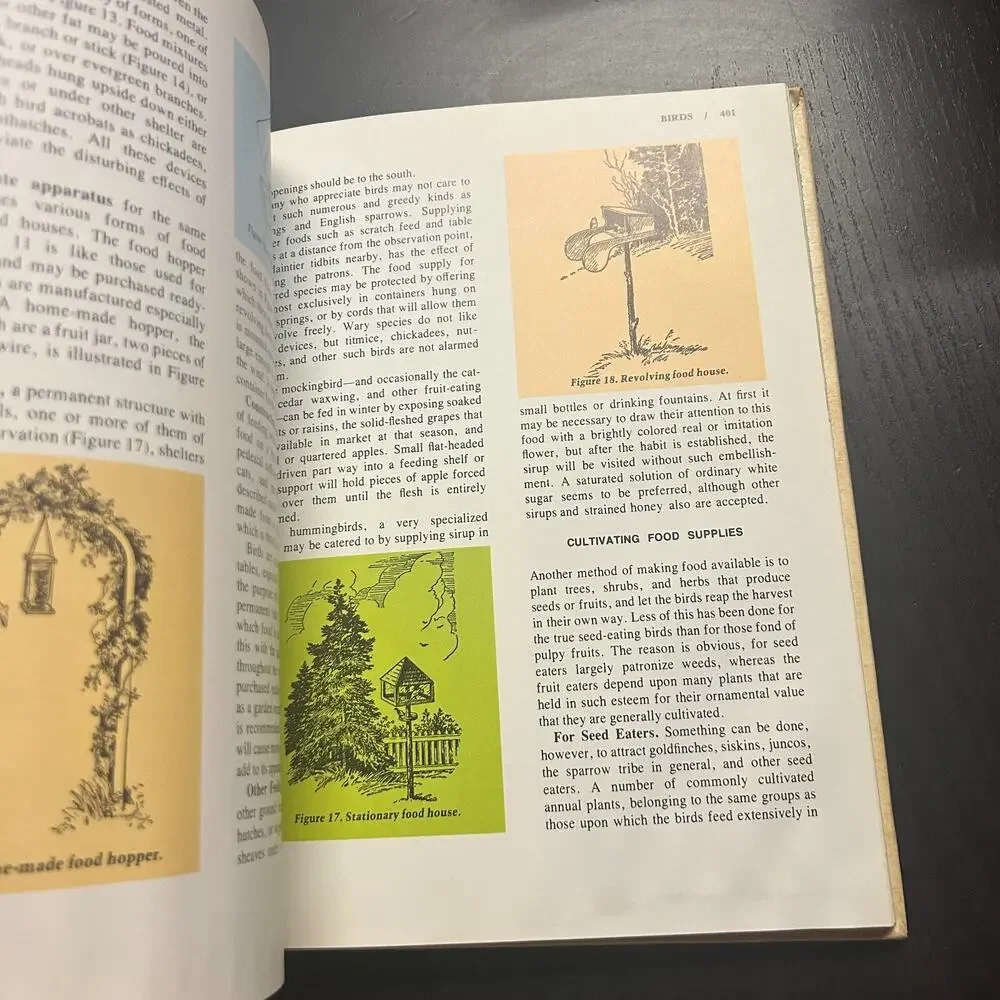 Unbranded new illustrated