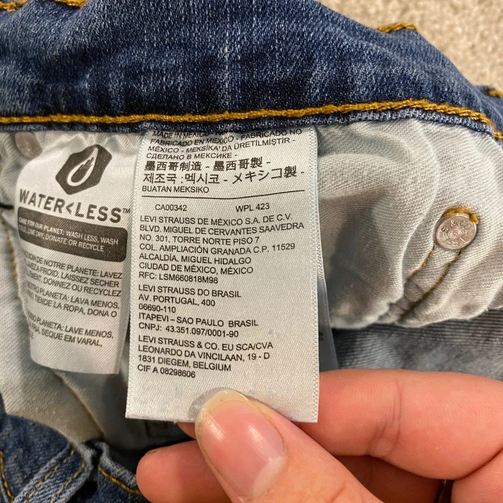 Levis levi 541
