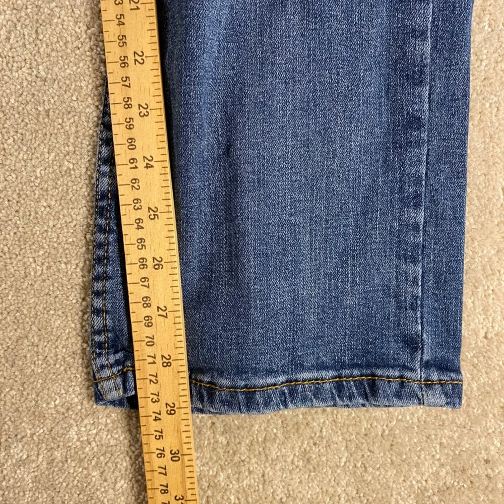 Levis levi 541