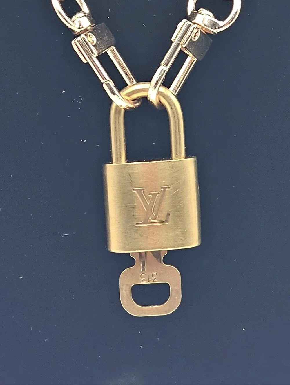 Louis Vuitton authentic louis