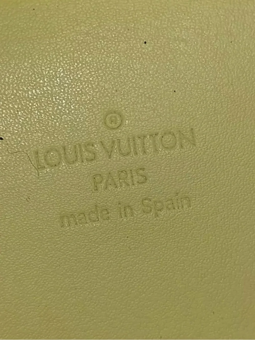 Louis Vuitton authentic louis
