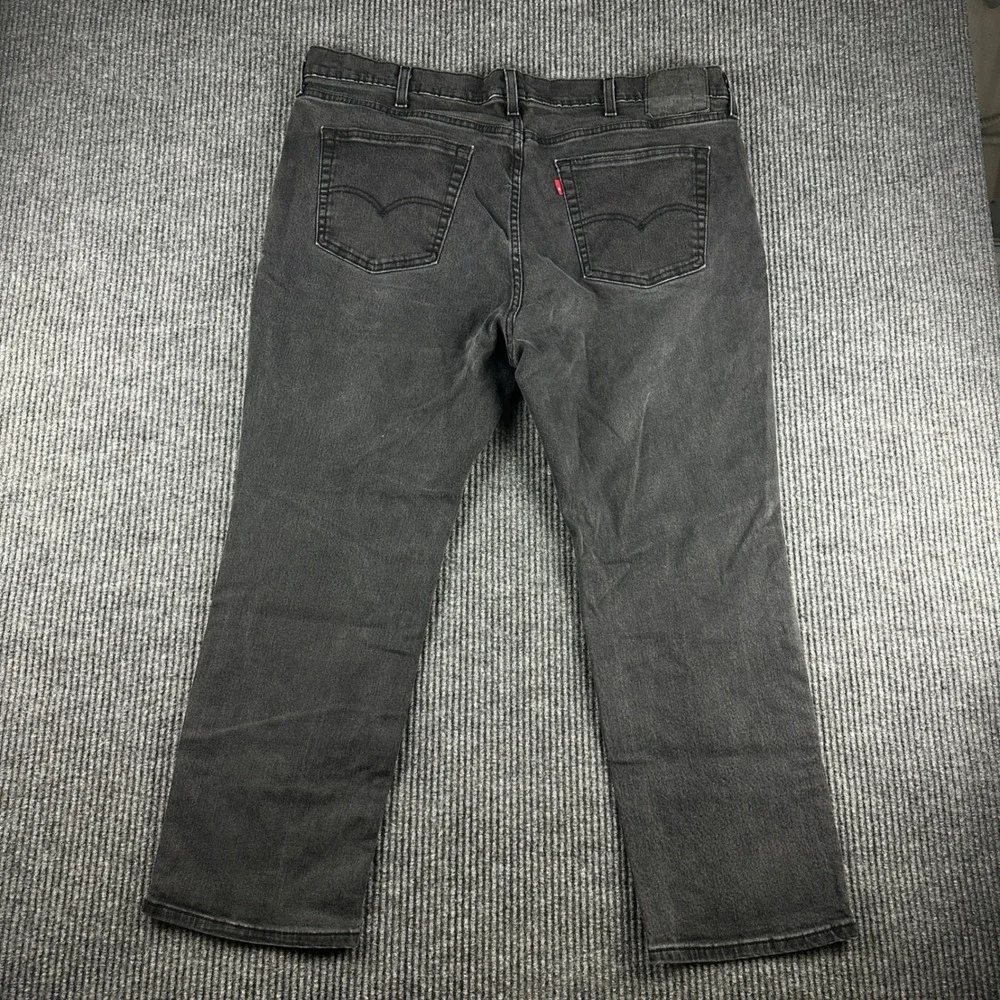Levis levis 541
