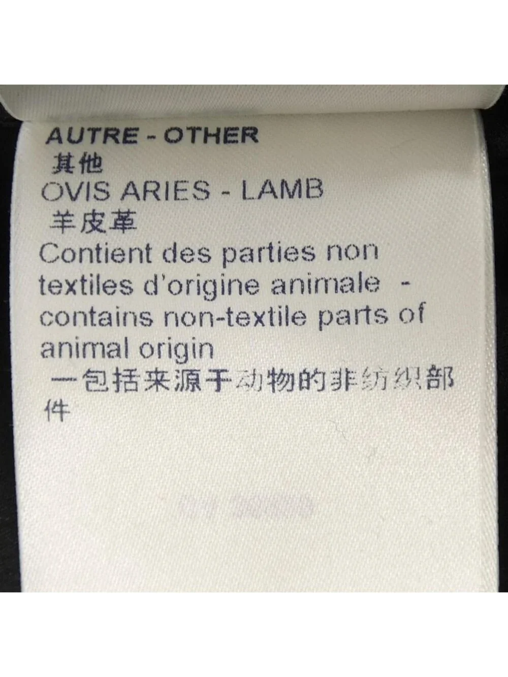 Louis Vuitton brand louis