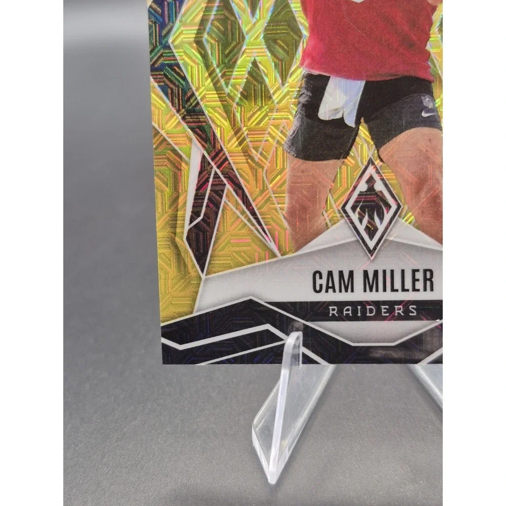 Panini 2025 phoenix