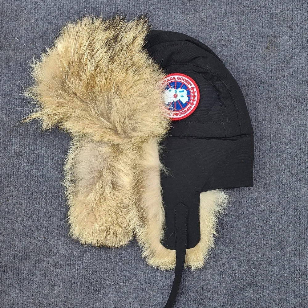 Canada Goose black goose