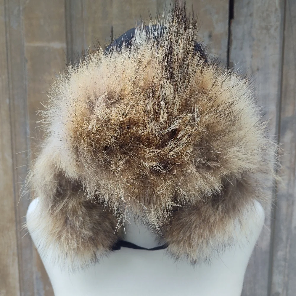 Canada Goose black goose