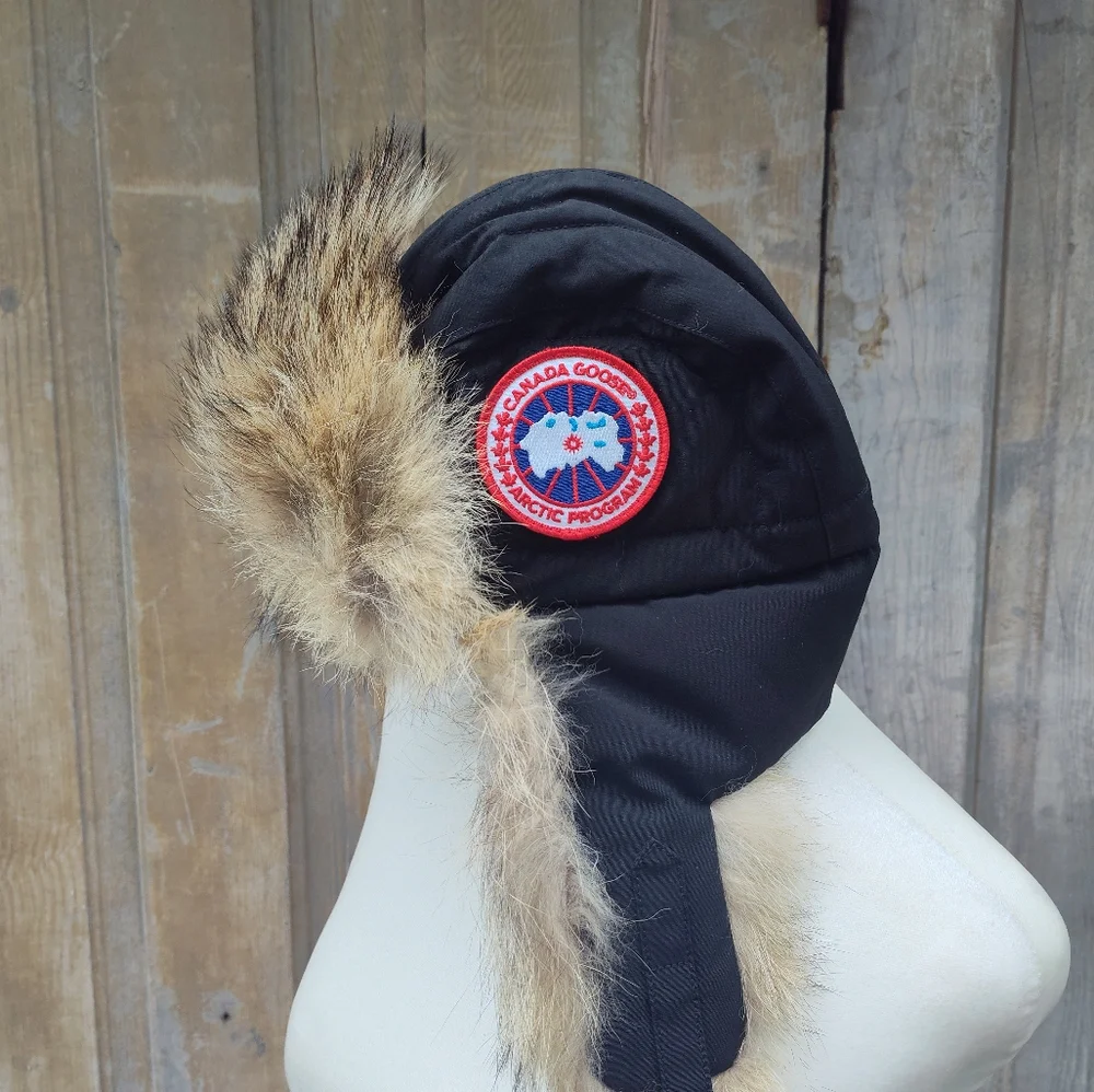 Canada Goose black goose