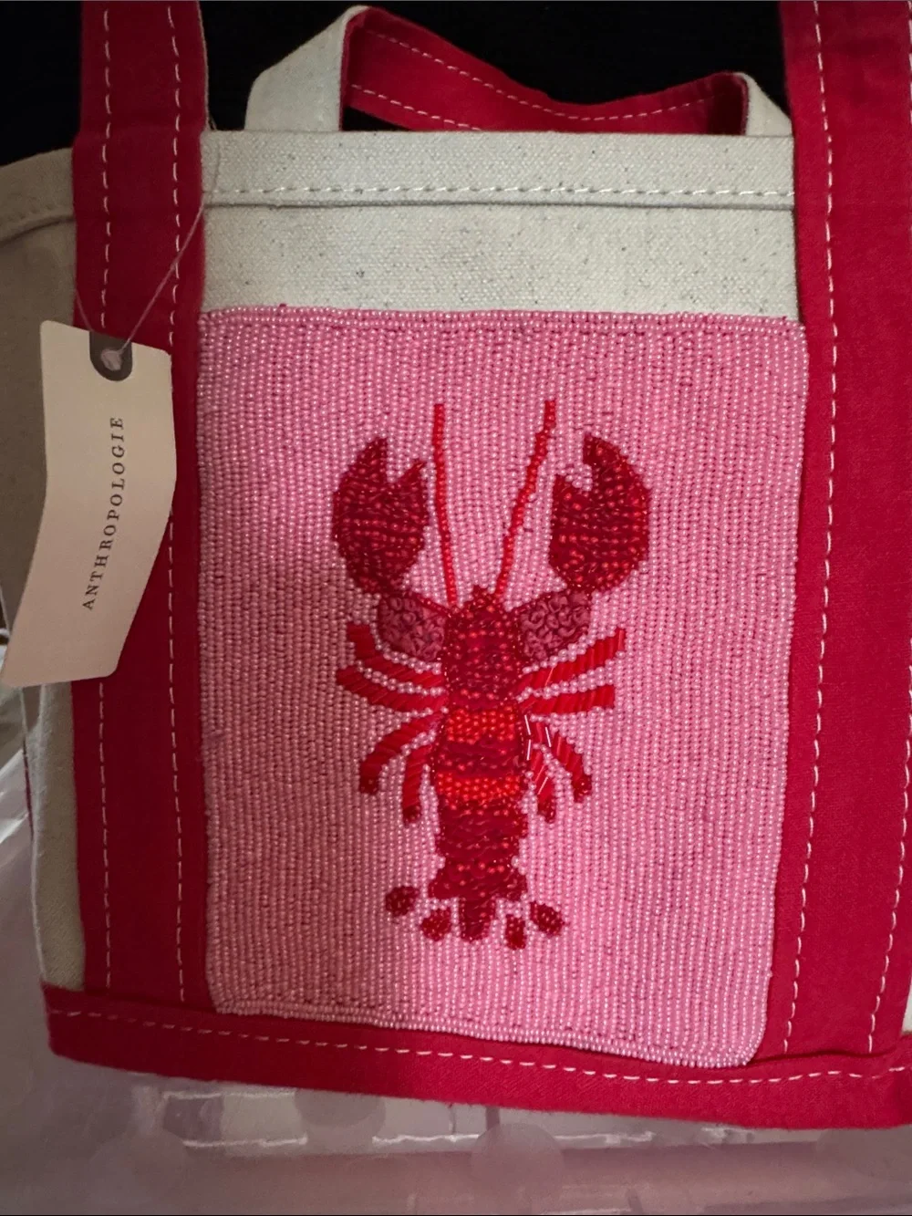 Anthropologie nwt canvas