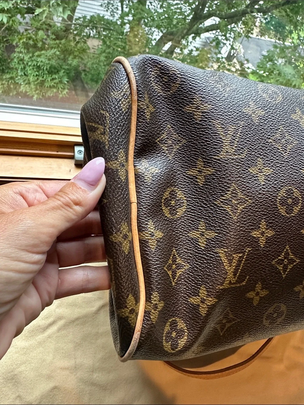 Louis Vuitton classic louis