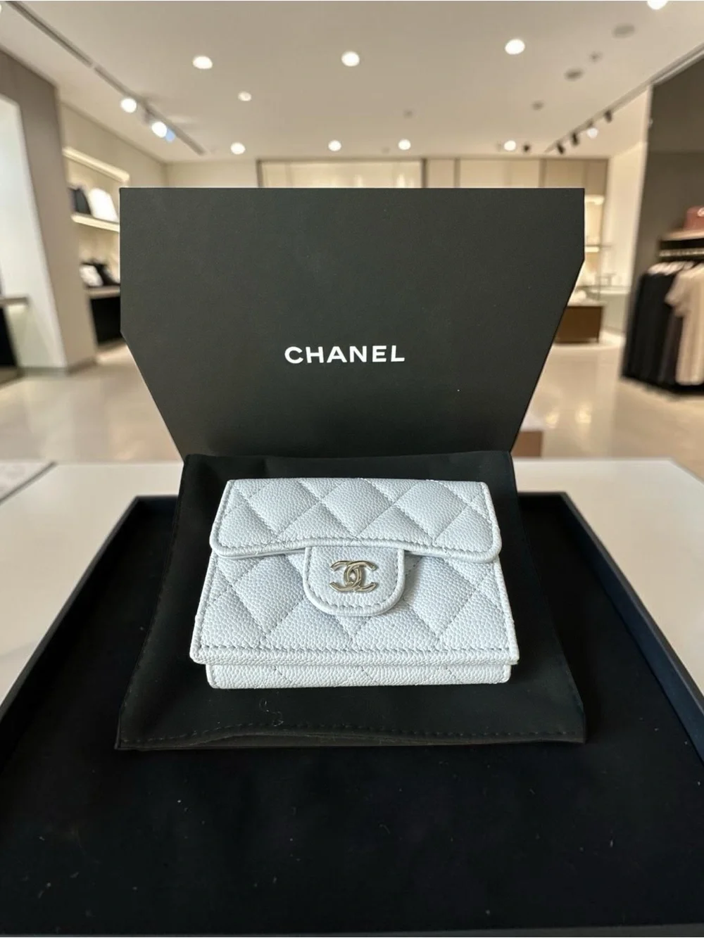 Chanel Light Blue Oyster Wallet Silver CC‎ Logo Petite Maroquinerie NIB APGA01G3