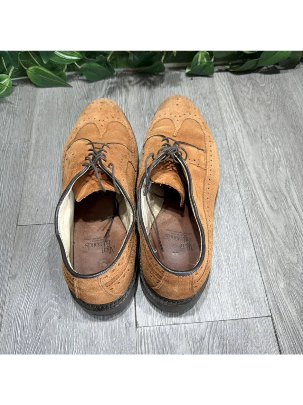 Allen Edmonds please check