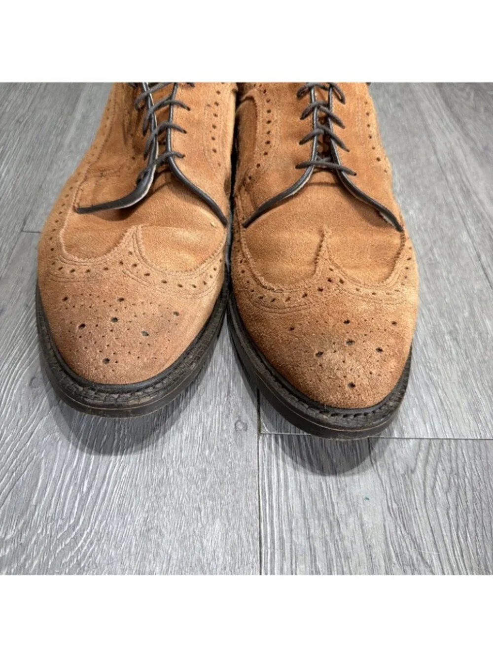Allen Edmonds please check