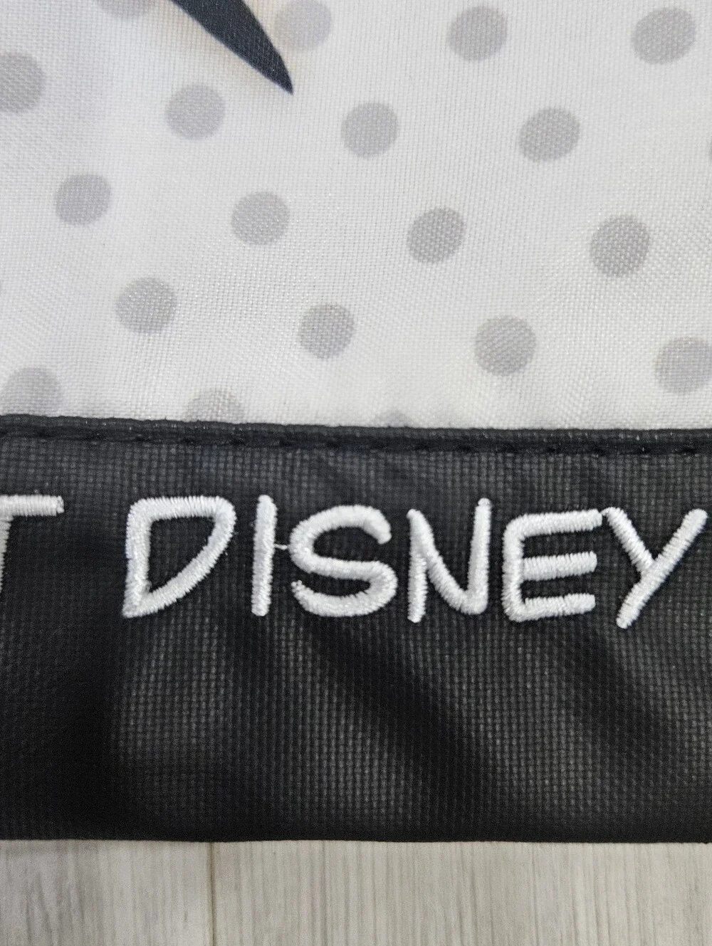 Disney parks mickey