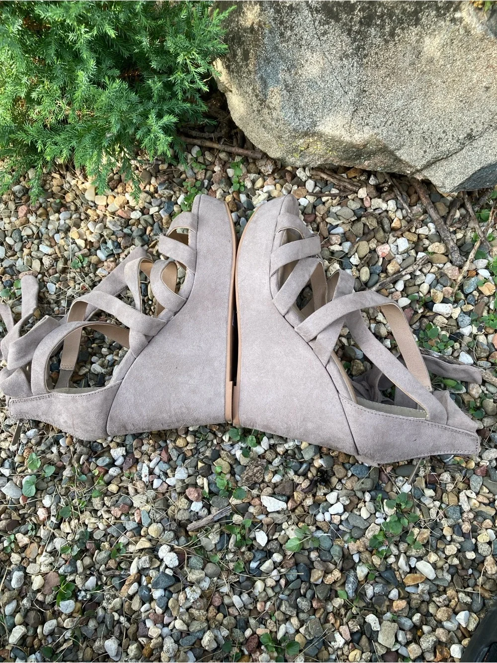 torrid faux suede