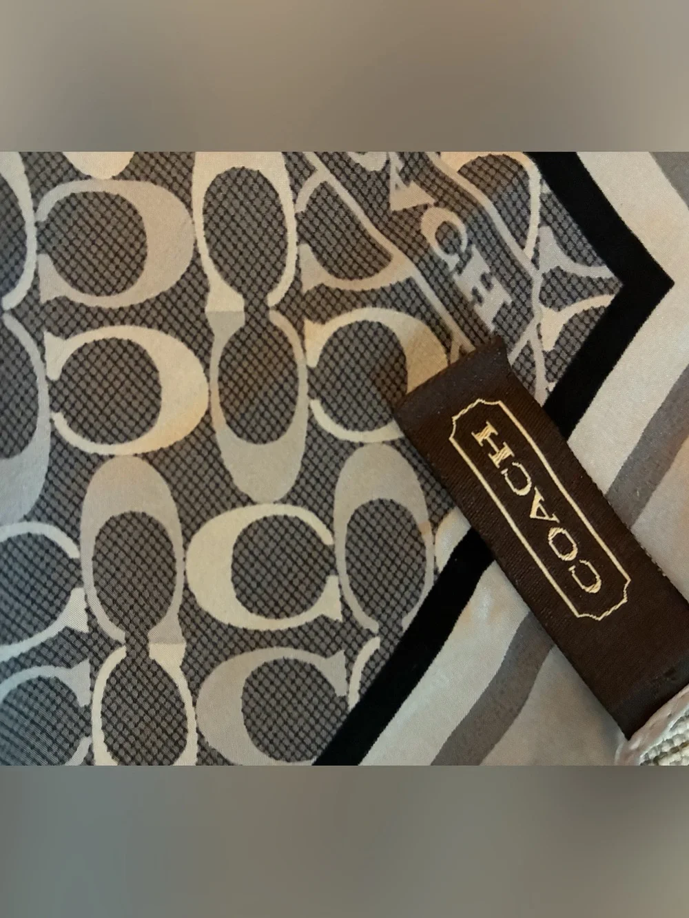 Coach elegant silk