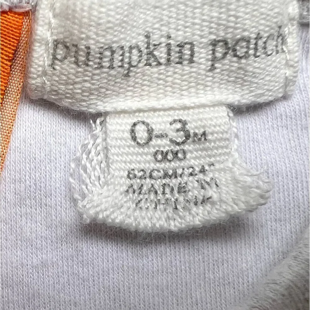 pumpkin patch pumpkin patch