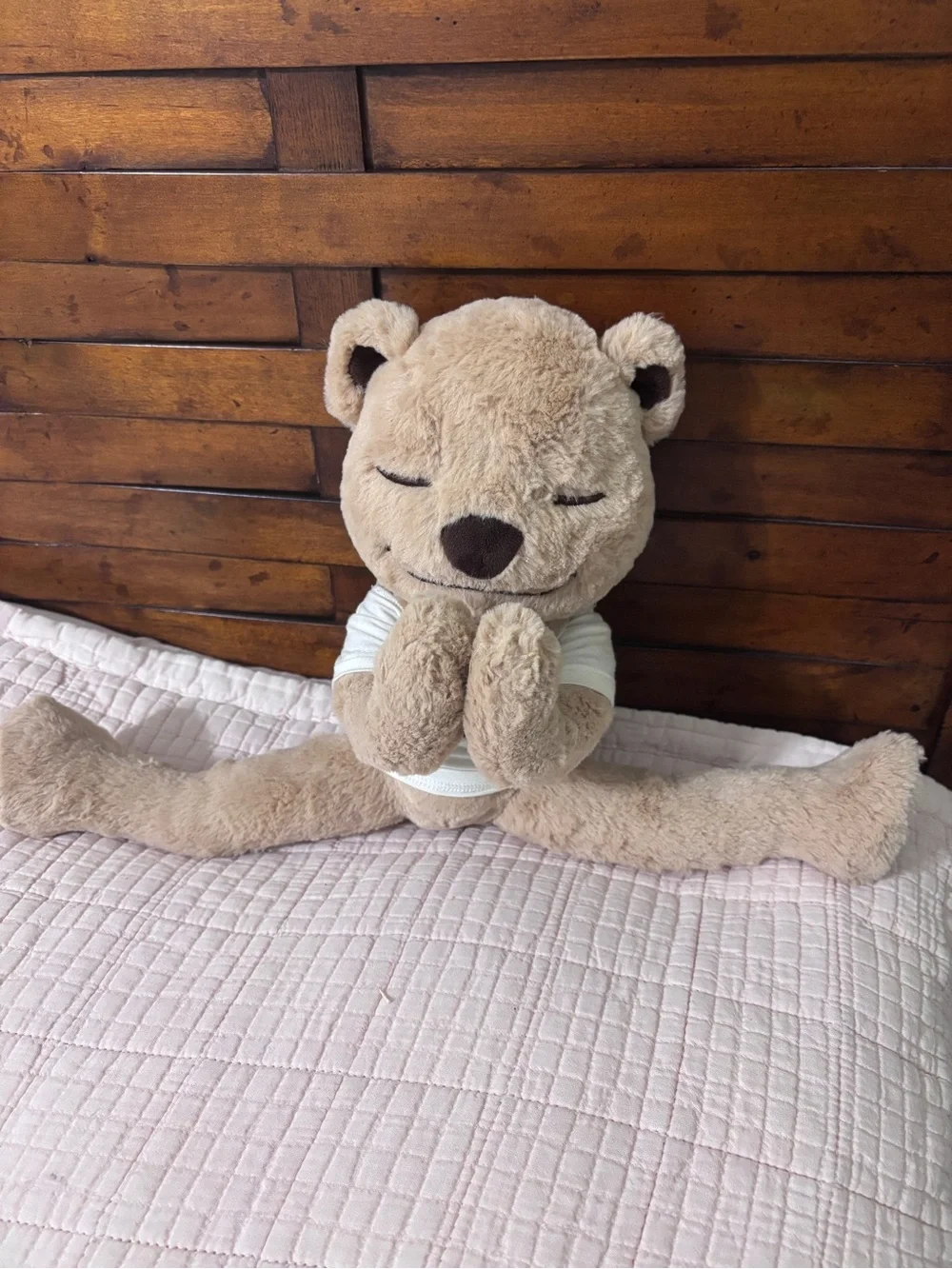 Meddy Teddy meddy teddy