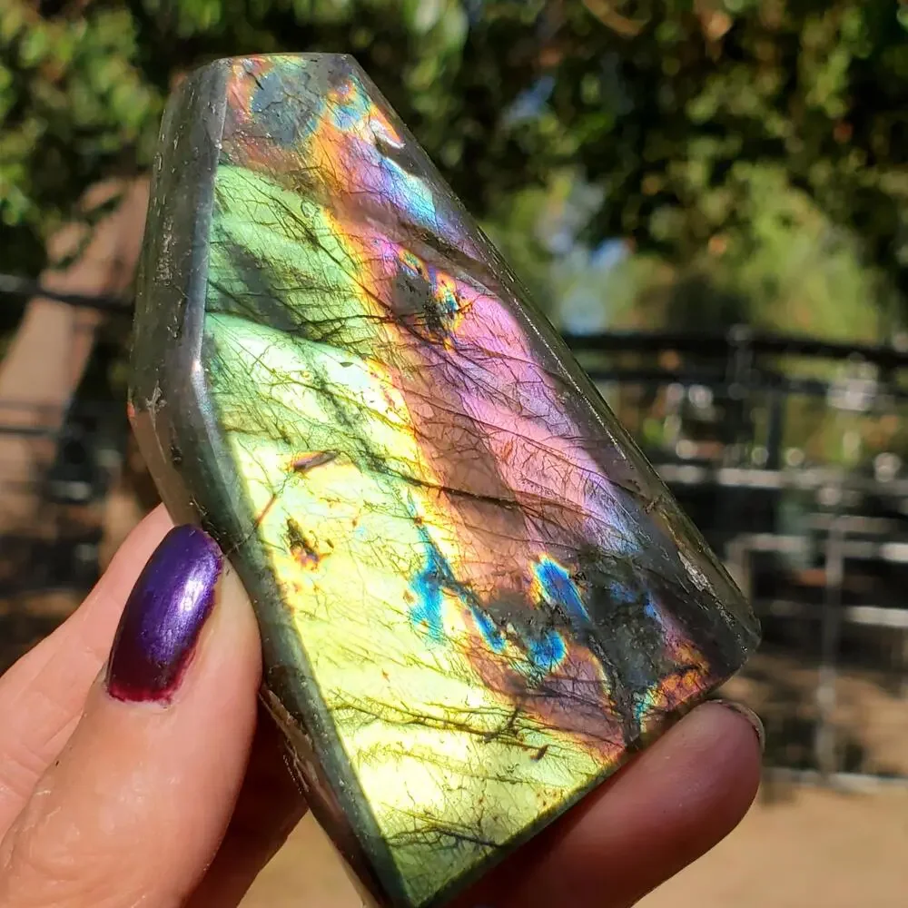 N/A multi color